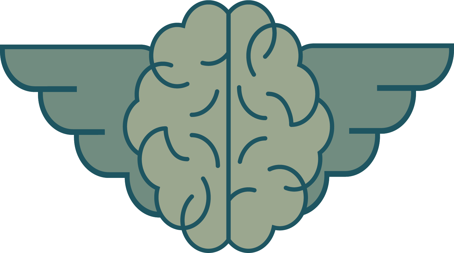 Systeem 1 (Vooroordelen)