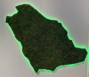 Saudi Arabia (COP26)