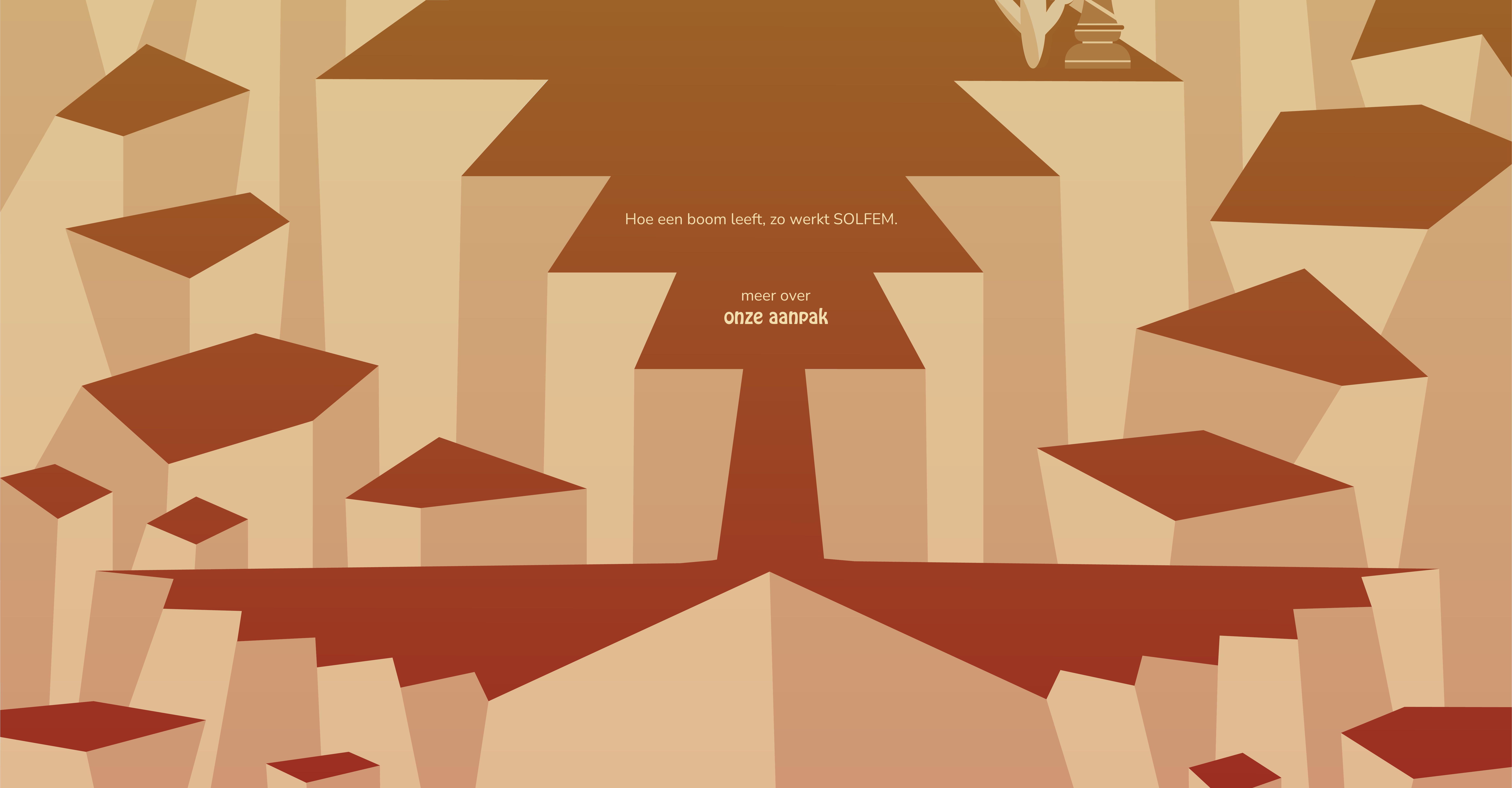 Aanpak (SOLFEM Homepage)